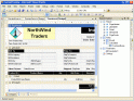 ActiveReports for .NET 1 Developer License