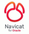 Navicat Oracle Standard